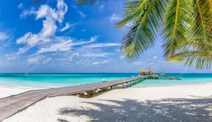 Idyllic White Sand Wallpaper