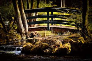 Idyllic Wooden Bridge Wallpaper