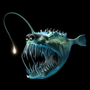 Illuminated Anglerfish In The Deep Ocean Wallpaper