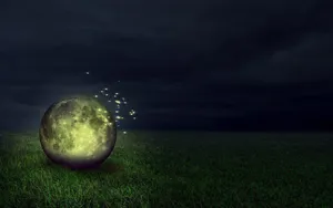 Illuminated By Nature Wallpaper