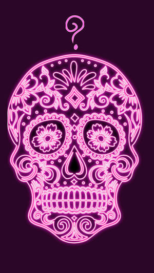 Illuminated Neon Pink Aesthetic Skull Art Wallpaper