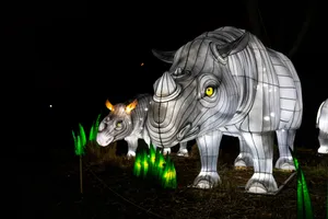 Illuminated Rhino Lanternsat Night Wallpaper