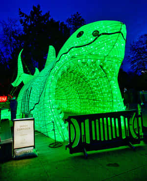 Illuminated Shark Installationat Night Wallpaper