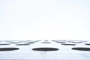 Illusion Black Holes Wallpaper