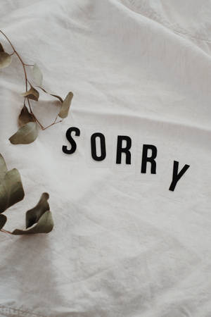 Im Sorry On A White Blanket Wallpaper