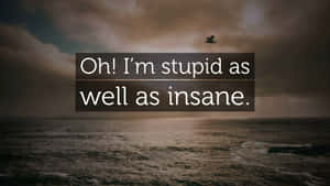 Im Stupid As Well As Insane Wallpaper