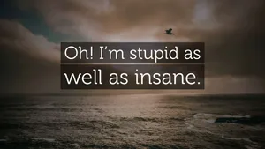 Im Stupid As Well As Insane Wallpaper