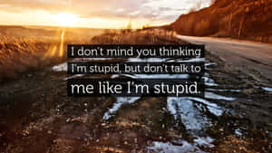 Im Stupid Quote Wallpaper