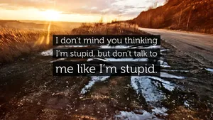 Im Stupid Quote Wallpaper