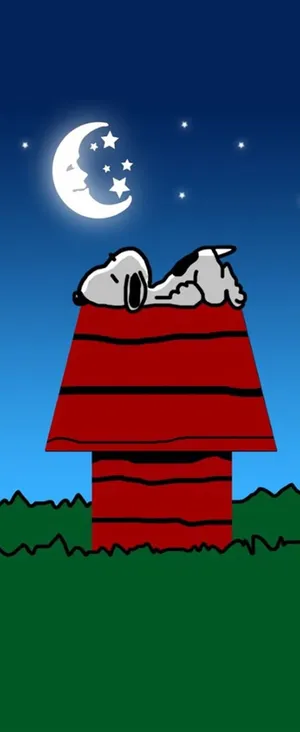 Image A Close-up Shot Of A Blooming Flower Wallpaper