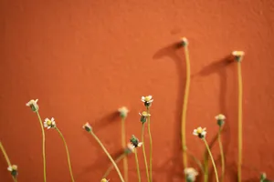 Image A Colorful Nightscape Of A City Skyline Wallpaper