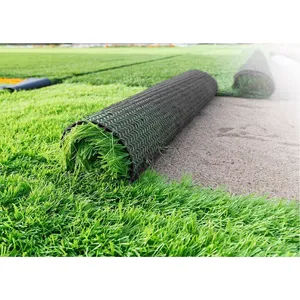 Image A Lush, Vibrant Field Of Blue Grass Wallpaper