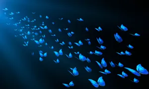 Image A Scenic Roadway Nestled In The Mountains Wallpaper