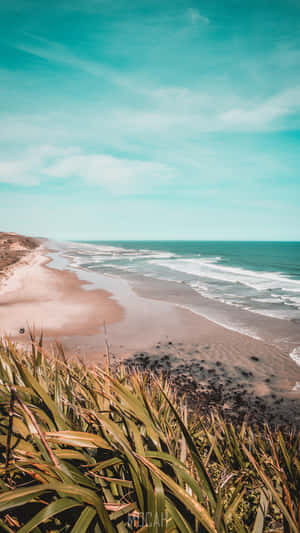 Image A Tranquil Beach Along The Pacific Coast Wallpaper