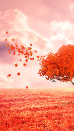 Image A Vibrant Red Tree Illuminated By Warm Light Wallpaper