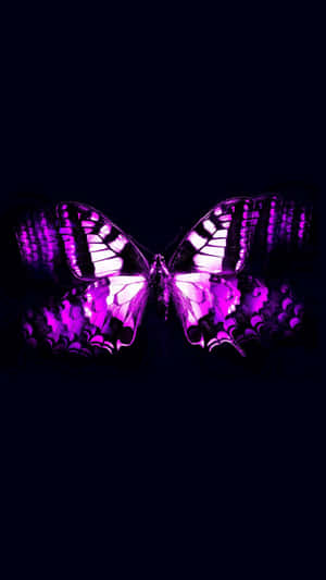 Image An Eye-catching Purple Butterfly On An Iphone Wallpaper