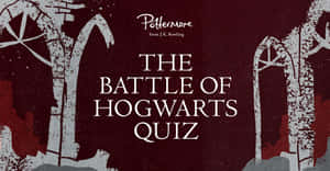 Image Battle Of Hogwarts Wallpaper
