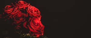 Image Beautiful Red Roses On Valentines Day Wallpaper