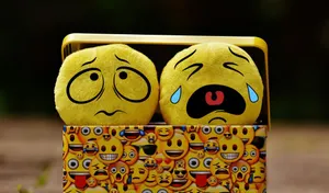 Image Beautiful Sunflower In A Blooming Meadow Wallpaper