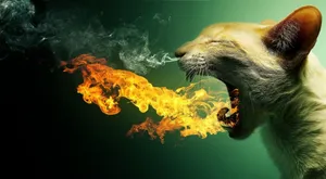 Image Boys Using Computer Wallpaper