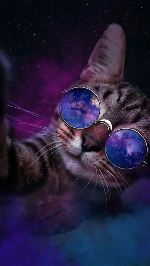 Image Bring Your Dreams To Life With Galaxy Cat Wallpaper
