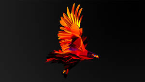 Image Close-up Of Orange Eagle Abstract Art Wallpaper