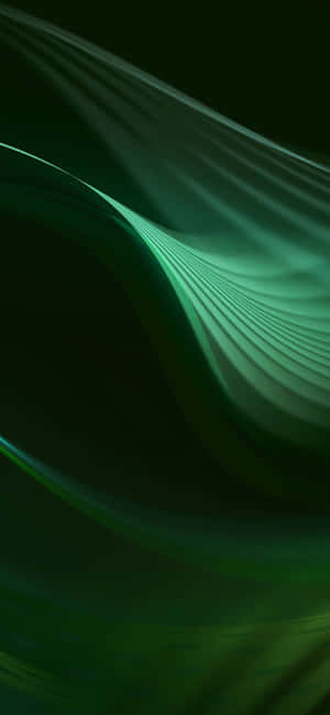 Image Dark Green Iphone 11 Wallpaper