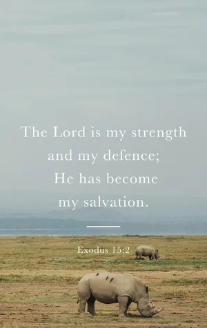 Image “download Bible Verse Phone Wallpaper Now” Wallpaper