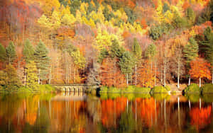 Image Enjoy The Cool Weather During A Stroll In The Fall Wallpaper