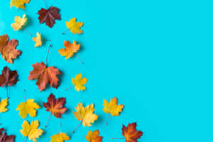 Image Get In The Fall Mood With This Minimalist Autumn Scene Wallpaper