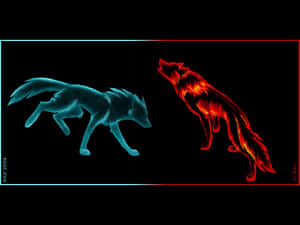 Image Glowing Amidst Fire And Ice – Wolf Wallpaper