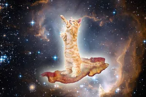 Image Jump Into The Unknown With Galaxy Cat Wallpaper