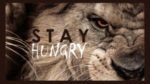 Image “life Is Full Of Challenges, So Put On Your Brave Face And Face Them Like A Lion.” Wallpaper