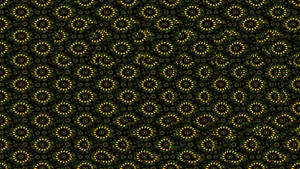 Image Life Through A Magical Lens Wallpaper