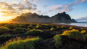 Image Majestic Golden Mountains Surround A Mesmerizing Sunset Wallpaper