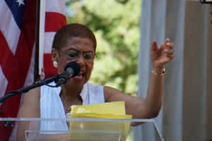 Image Of Eleanor Holmes Norton From Her Speech Wallpaper