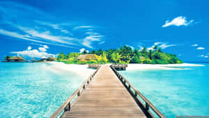 Image Relaxing At A Tropical Beach Wallpaper