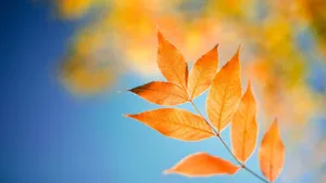 Image Secure Your Laptop With A Lock Screen Wallpaper