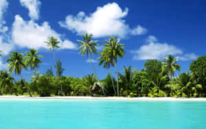 Image Serene Tropical Beach Scene Wallpaper