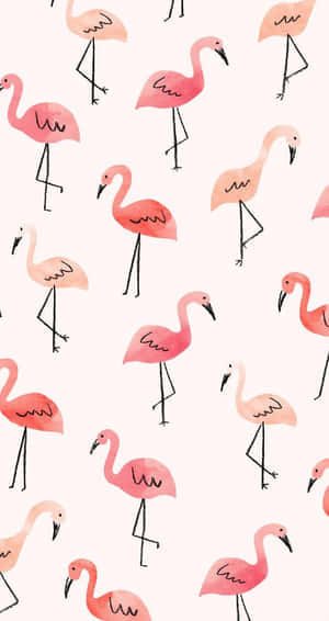 Image Simple And Cute Iphone Wallpaper