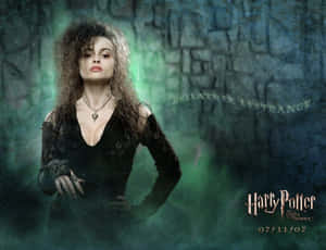 Image The Order Of Phoenix Rising Wallpaper