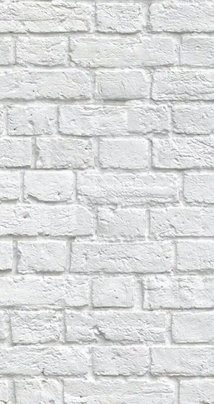 Image White Brick In Flemish Bond Pattern Wallpaper