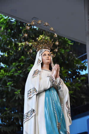 Immaculate Conception Statue Wallpaper