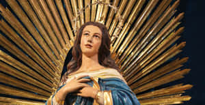 Immaculate Conception Statue Wallpaper