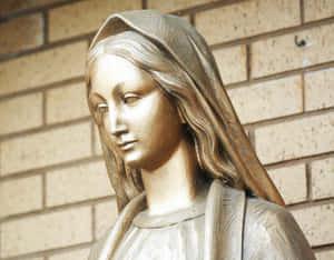 Immaculate Conception Statue Wallpaper