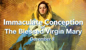 Immaculate Mary Celebration Wallpaper