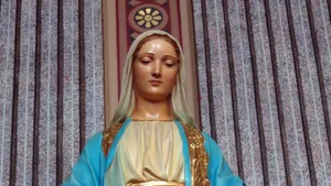 Immaculate Mary Statue Looking Down Wallpaper