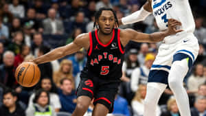 Immanuel Quickley Raptors Playmaker Wallpaper