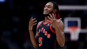 Immanuel Quickley Raptors Reaction Wallpaper
