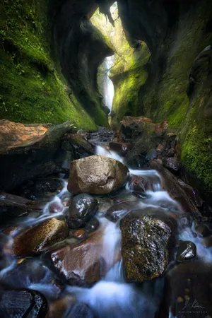 Immerse Your Senses In This Oasis Of Beauty Wallpaper